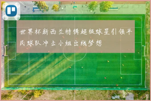 世界杯新西兰特辑超级球星引领平民球队冲击小组出线梦想