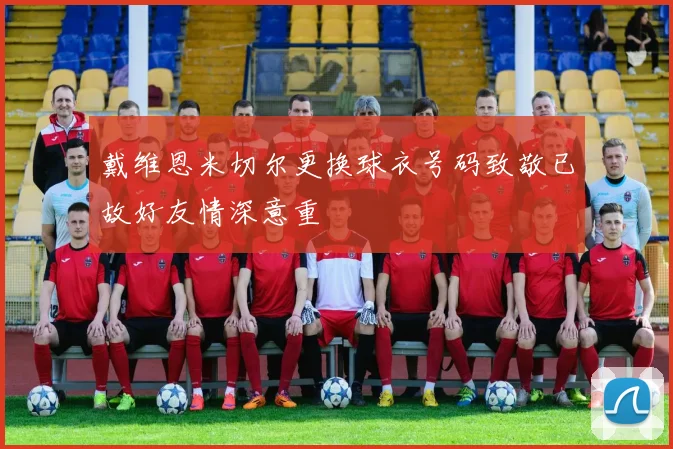 戴维恩米切尔更换球衣号码致敬已故好友情深意重