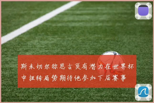 斯米切尔称恩古莫有潜力在世界杯中扭转局势期待他参加下届赛事